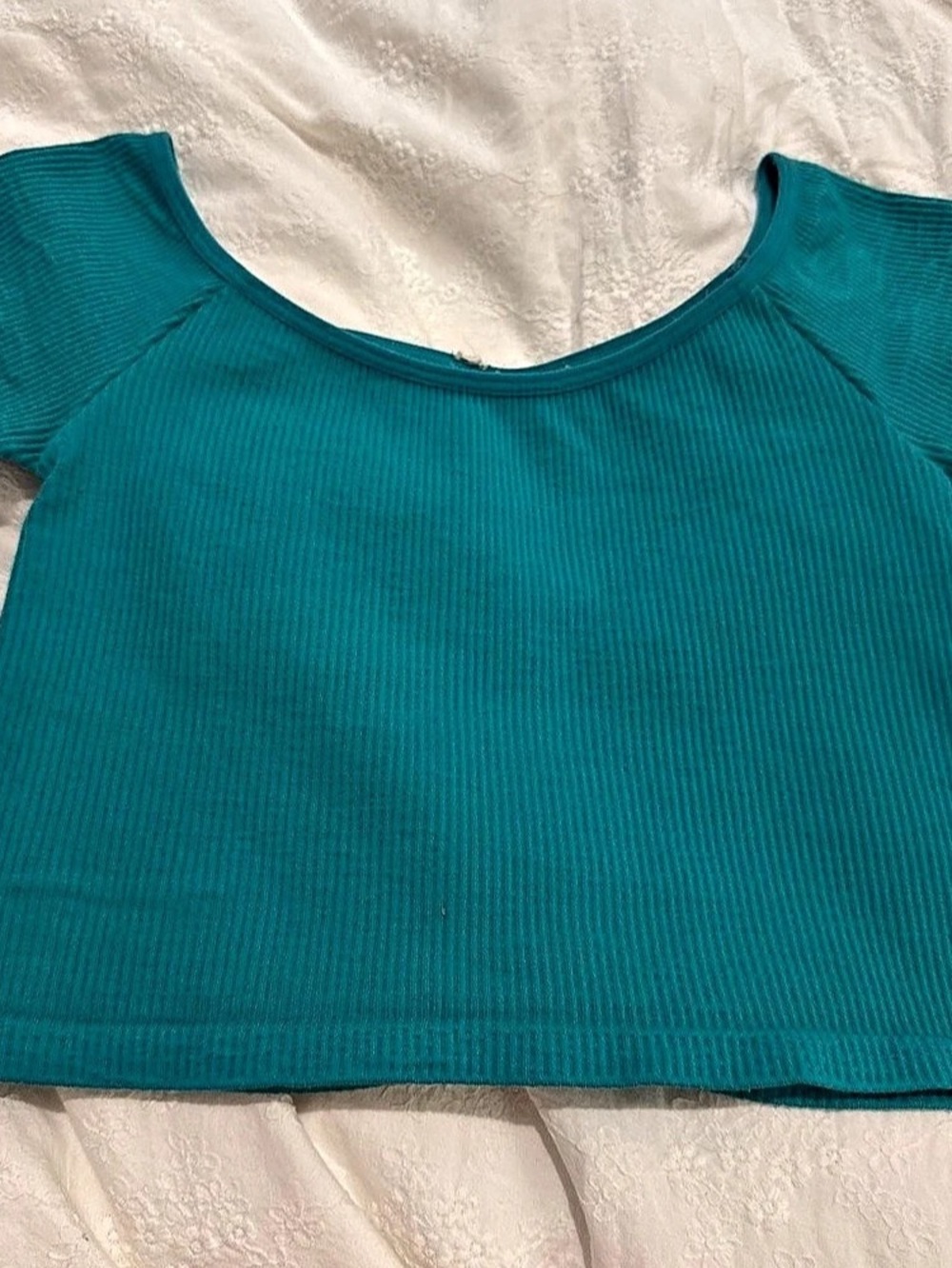 Ribbed Short Sleeve Crop Top in Blue